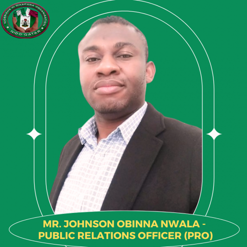 MR JOHNSON OBINNA NWALA