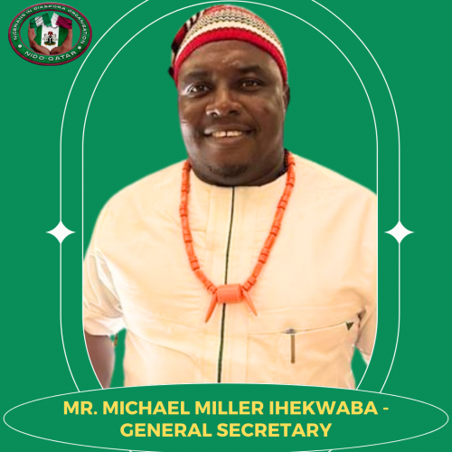 MR. MICHAEL NDUKAIHE IHEKWABA