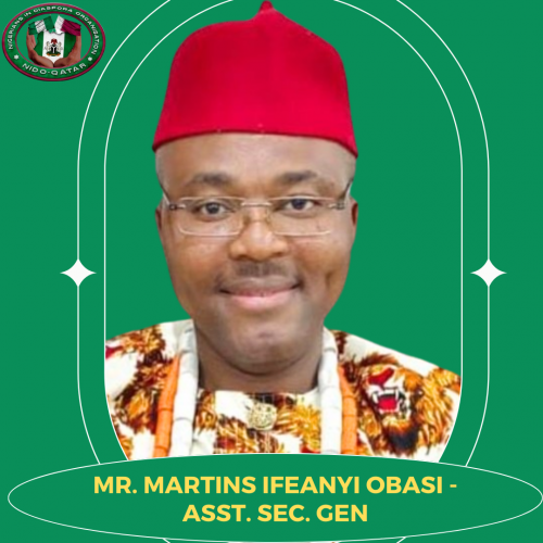 MR. MARTINS IFEANYI OBASI