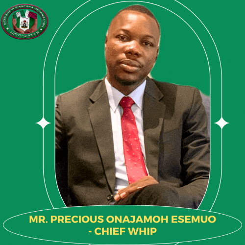 MR PRECIOUS ONAJOMOH ESEMUO